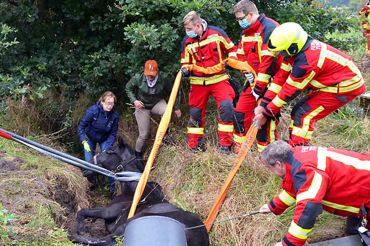 Mit Schaufel, Spaten und viel Muskelkraft haben Kräfte der Freiwilligen Feuerwehr ein Pferd aus seiner Notlage befreit