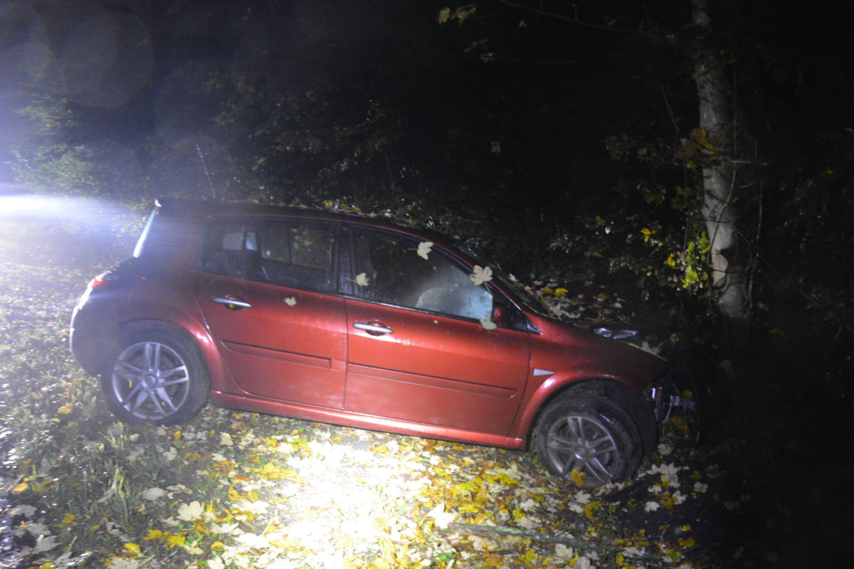 Automobilist kommt von der Strasse ab und kollidiert mit einem Baum