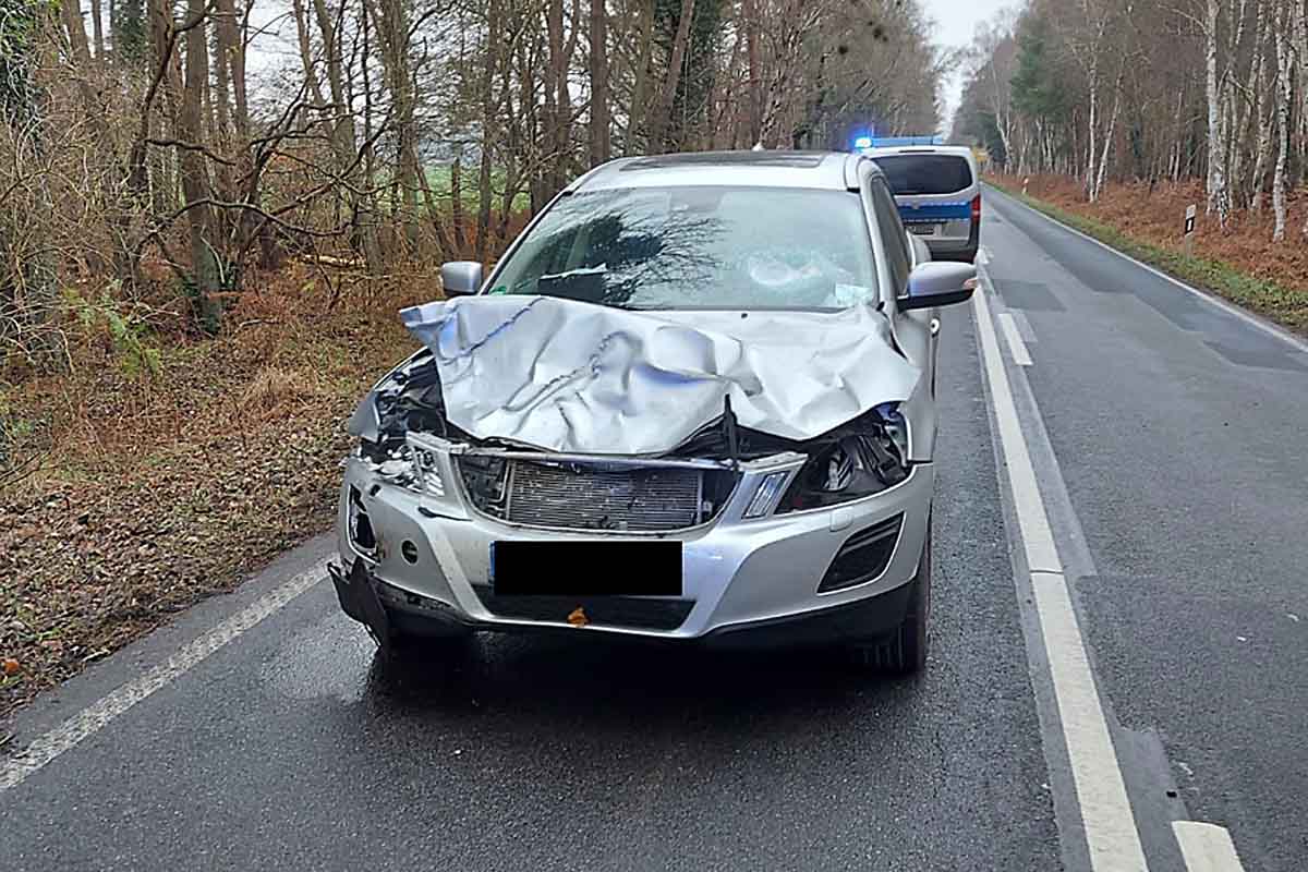 Zur Überprüfung der Gesundheit der schwangeren Beifahrerin und eines mitgefahrenen 3-jährigen Kindes wurde ein Rettungswagen hinzugezogen