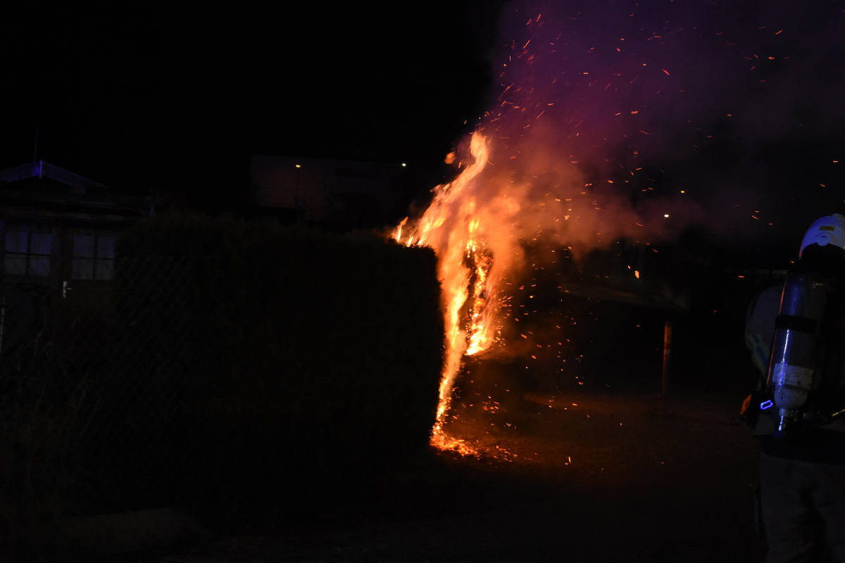 Hecken in Rapperswil-Jona in Flammen aufgegangen