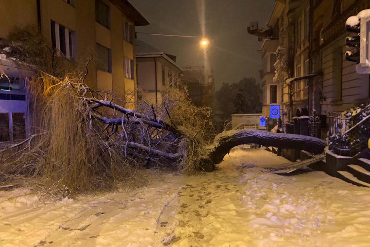 Innerhalb der letzten 24 Stunden gingen bei der Einsatzleitzentrale weit über 1 000 Anrufe auf den Notrufnummern 118 und 144 ein