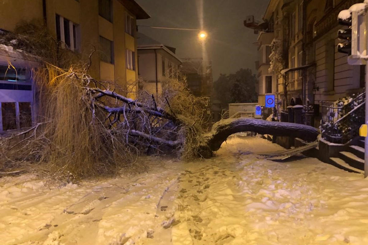 Massives Einsatzaufkommen für Schutz & Rettung Zürich