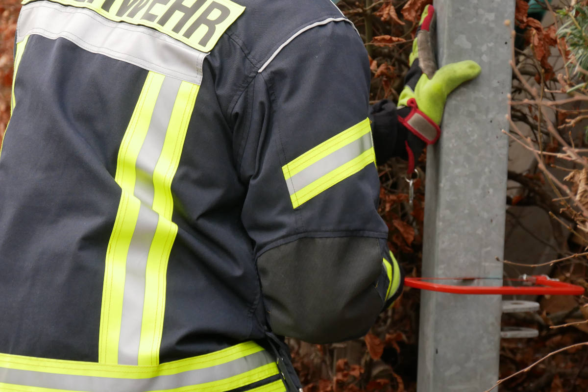 Eichhörnchen aus misslicher Lage befreit in Celle