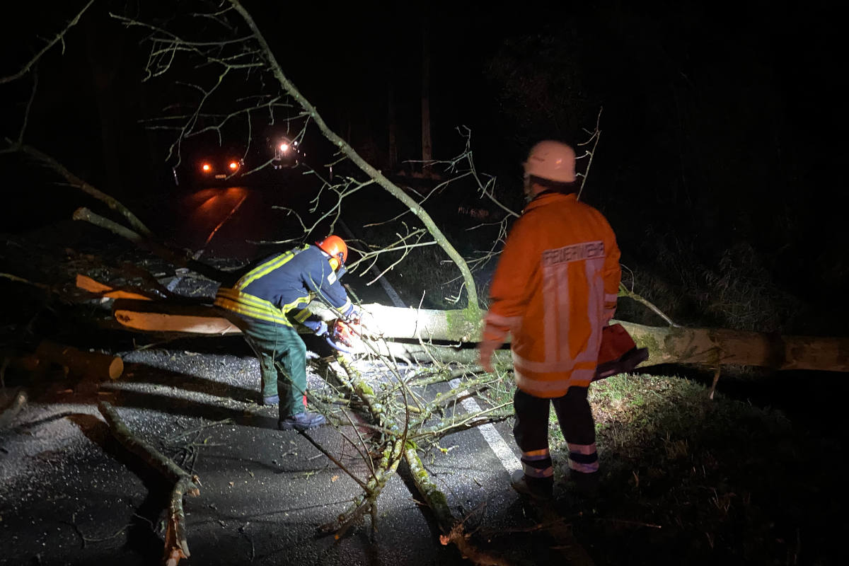 PKW kollidiert mit umgestürzten Baum bei Paulmannshavekost