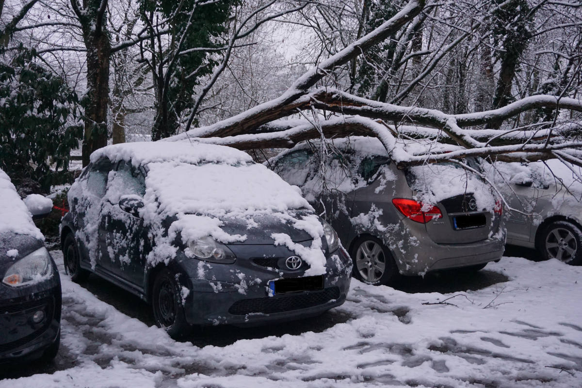 Bäume stürzten auf Autos in Ratingen