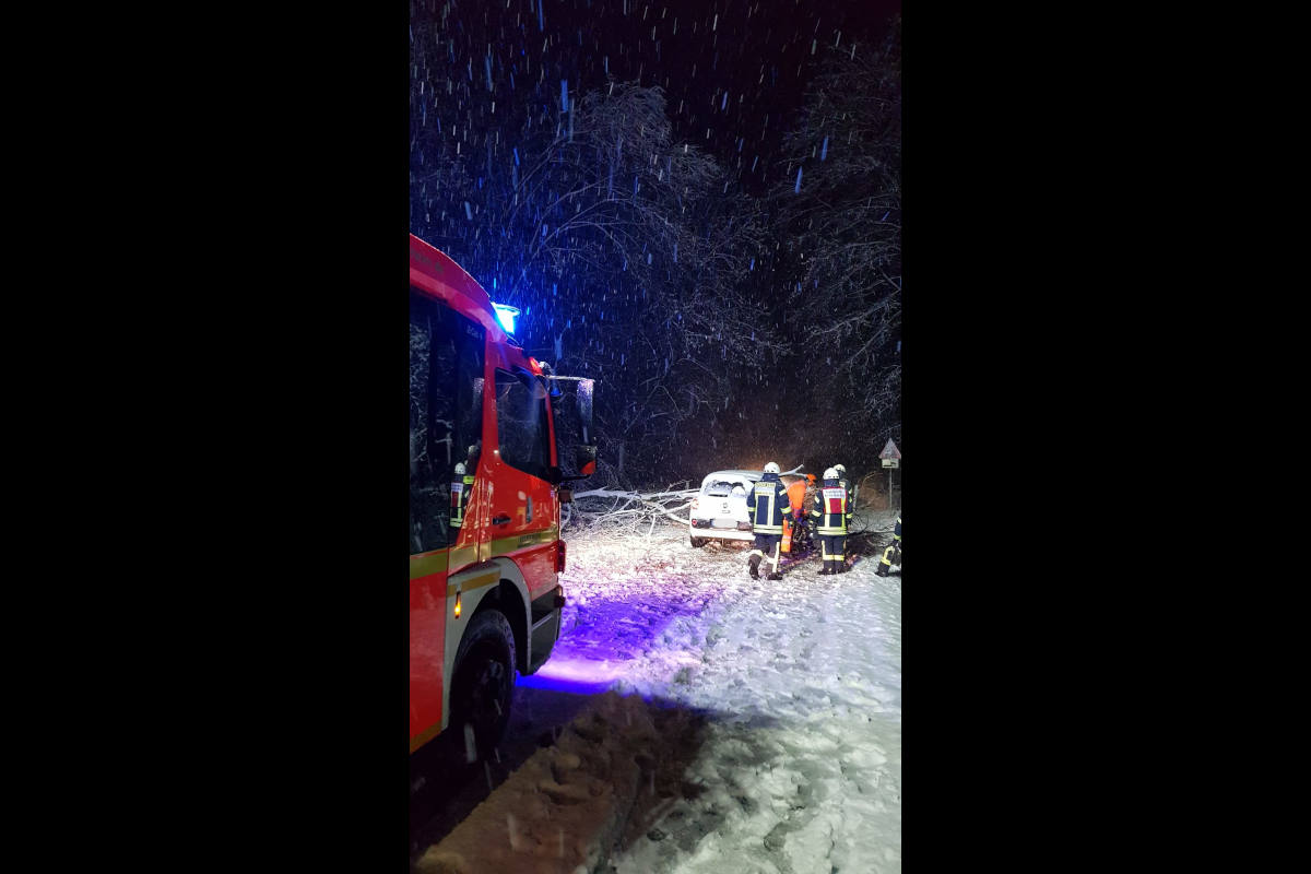 Wetterbedingte Einsätze durch Baum- und Astbruch in Mülheim an der Ruhr