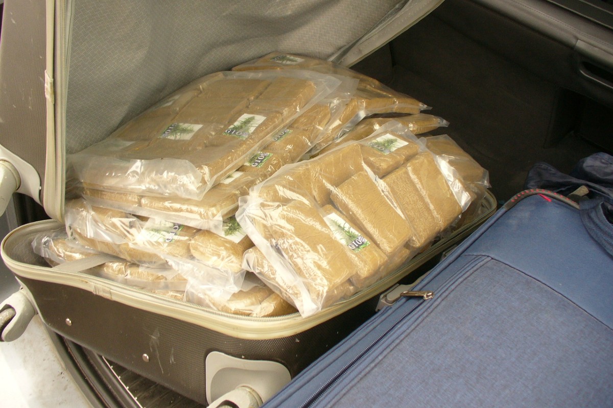 In Magdeburg wurden Drogen im Wert von 1,3 Mio. Euro sichergestellt