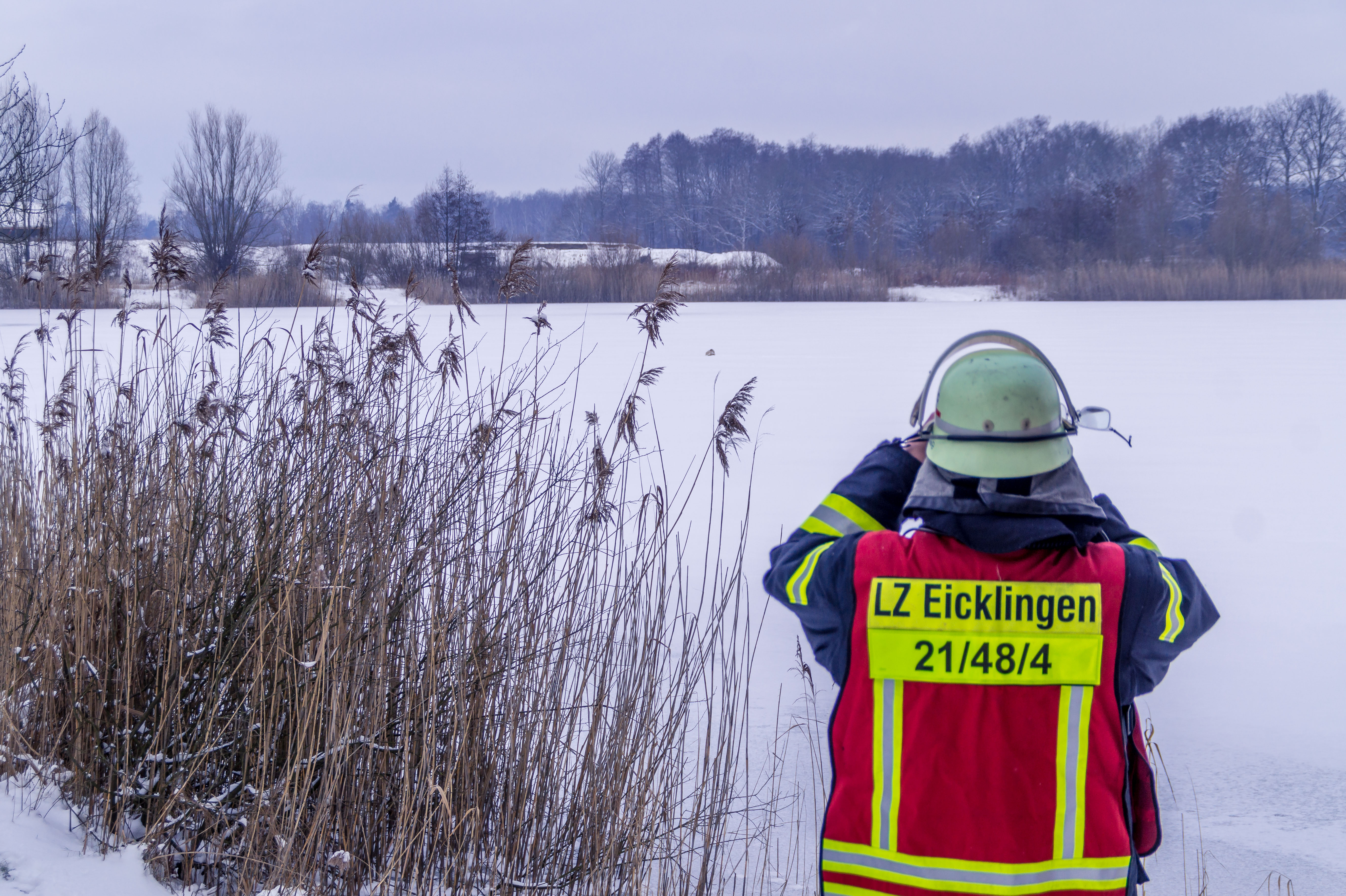 Schwan droht auf Kiesteich festzustecken in Eicklingen