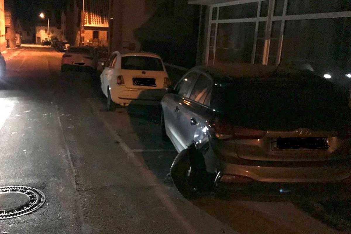 Der 25-Jährige wich dem Tier aus, geriet ins Schlingern und kollidierte daraufhin mit einem am rechten Straßenrand geparkten Pkw