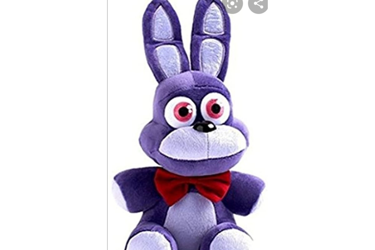 Die Vermisste hat dieses Plüschtier bei sich