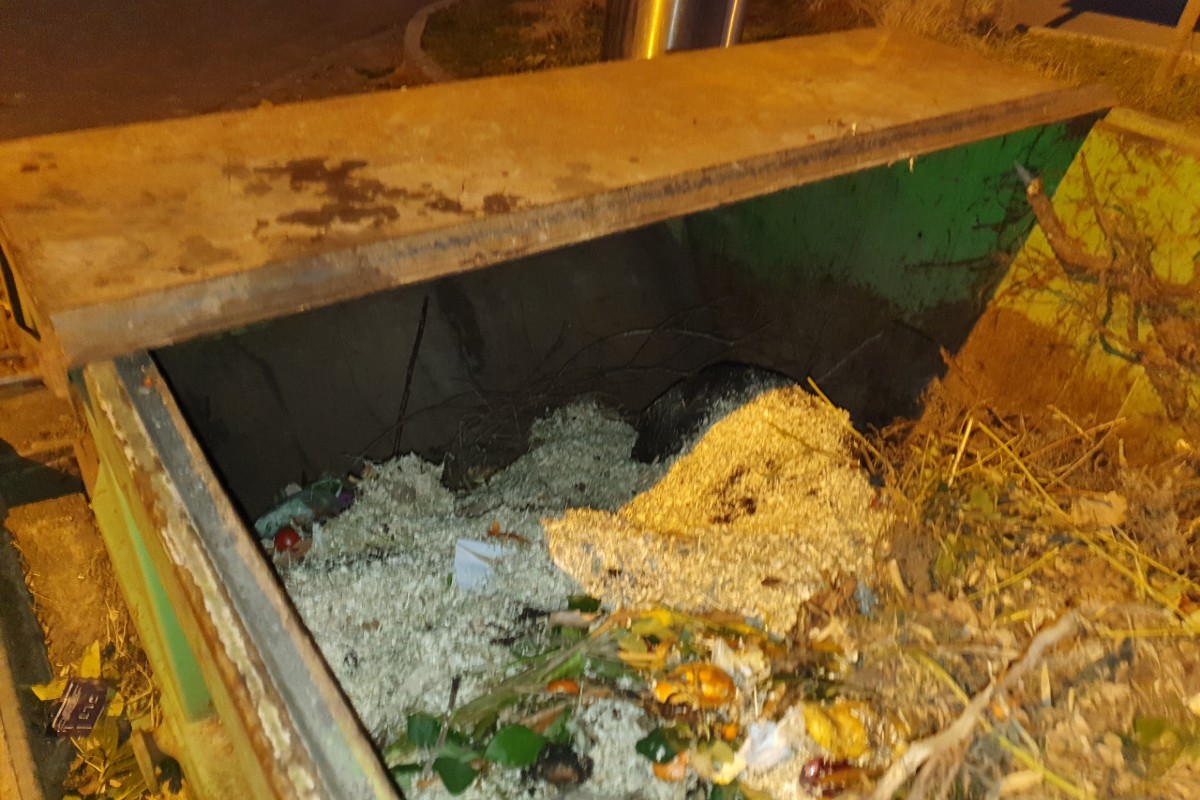 Die Tiere wurden gerettet.