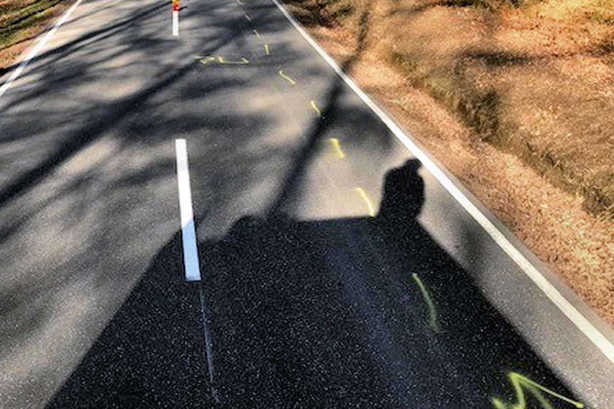 Die trächtige Hirschkuh und ihr Fötus konnten nicht mehr in Hochspeyer gerettet werden