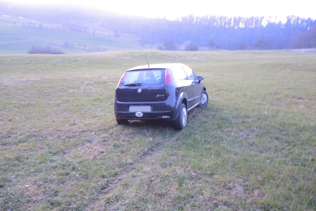 Eine Beifahrerin verletzte sich dabei leicht.