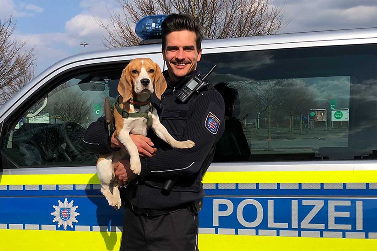 Der Hund konnte wohlbehalten in den Hundebesitzer treue Hände übergeben werden