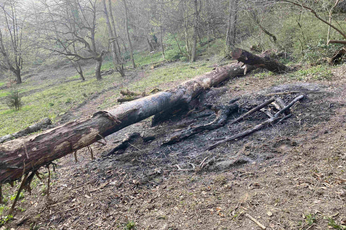 Waldbrand bei Gränichen AG