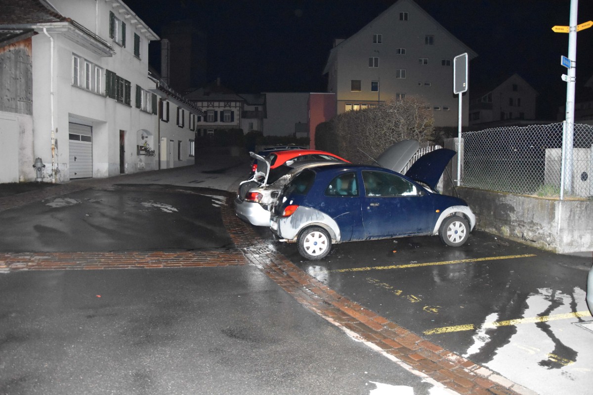 In Flums SG brannten letzte Nacht zwei Fahrzeuge.