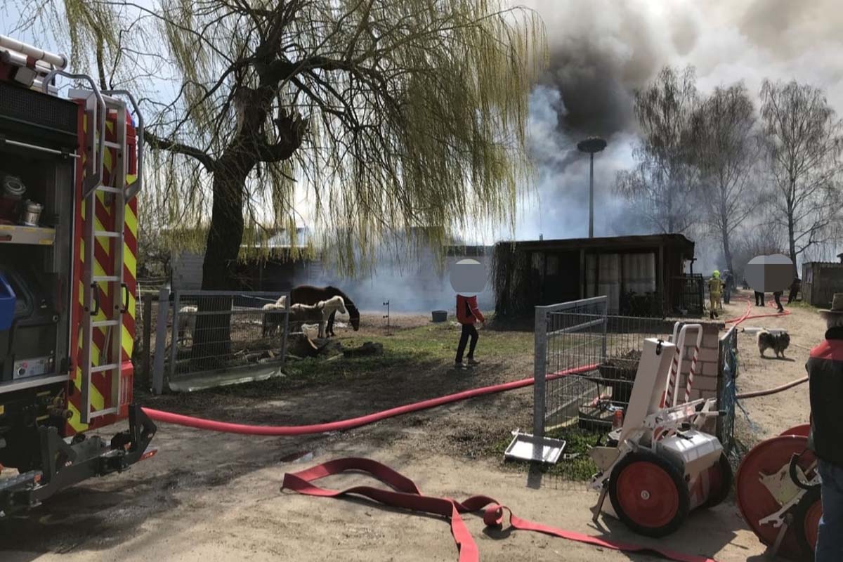 Das Brandobjekt war mit Pferdeboxen ausgestattet und wurde zum Teil zur Lagerung von Heu und Stroh und als Sattelkammer genutzt