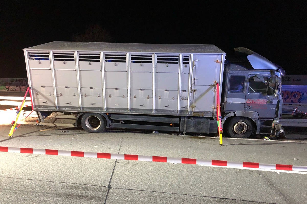 Unfall mit Viehtransporter auf der A33 bei Paderborn-Sennelager