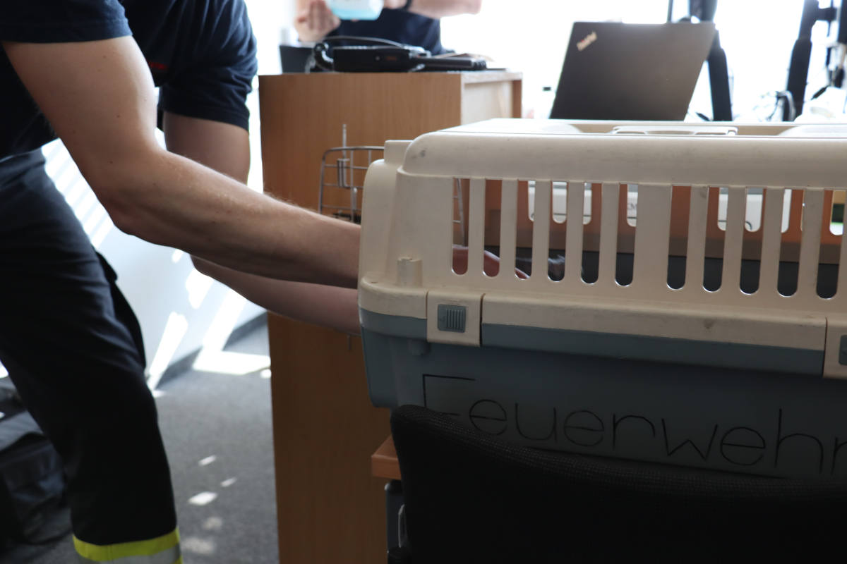 Tierischer Besuch beim Zoll in Dortmund