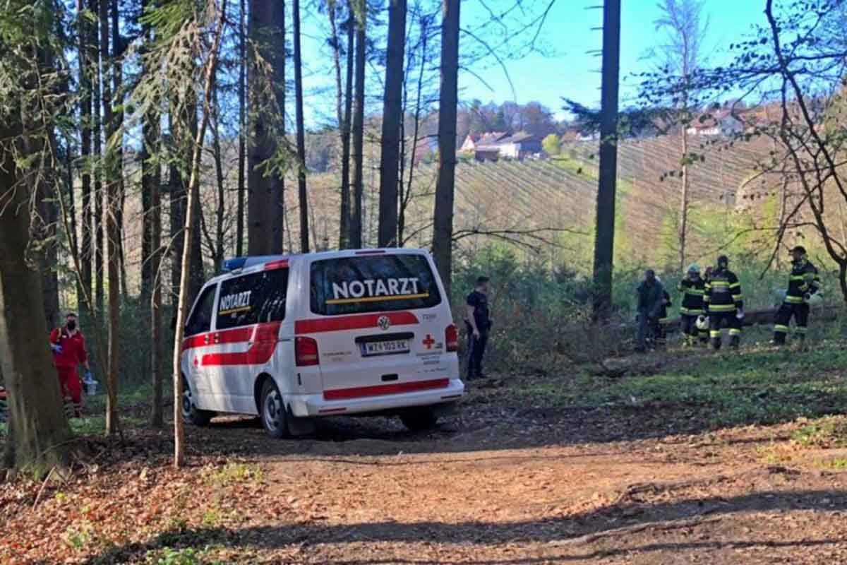 Bei einem Arbeitsunfall in Sankt Ruprecht an der Raab wurde ein Mann schwer verletzt