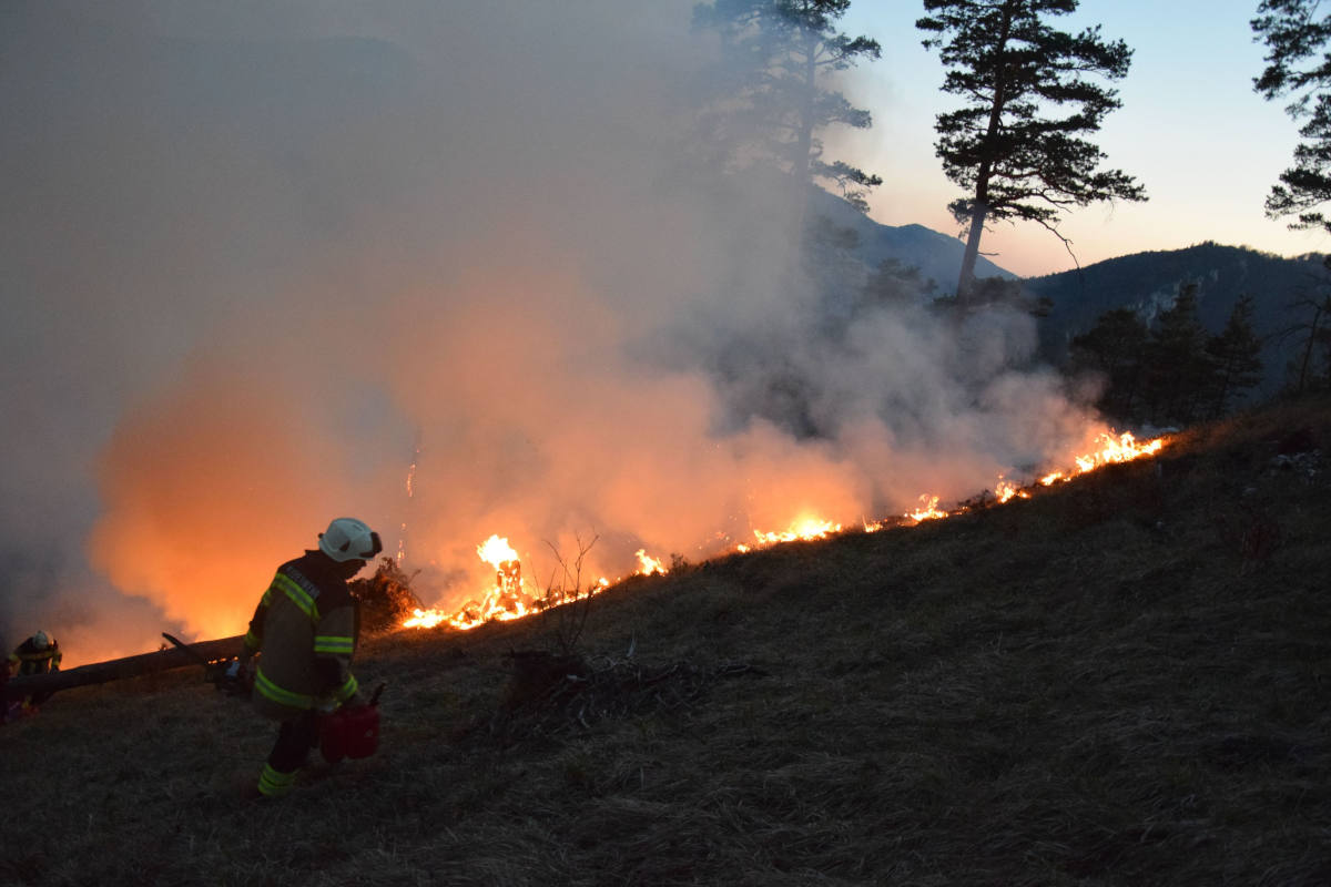 Waldbrand auf der Krete bei Gänsbrunnen