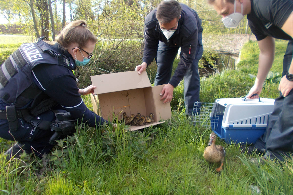 "Happy Ent" für quakende Zweibeiner-Familie in Grevenbroich