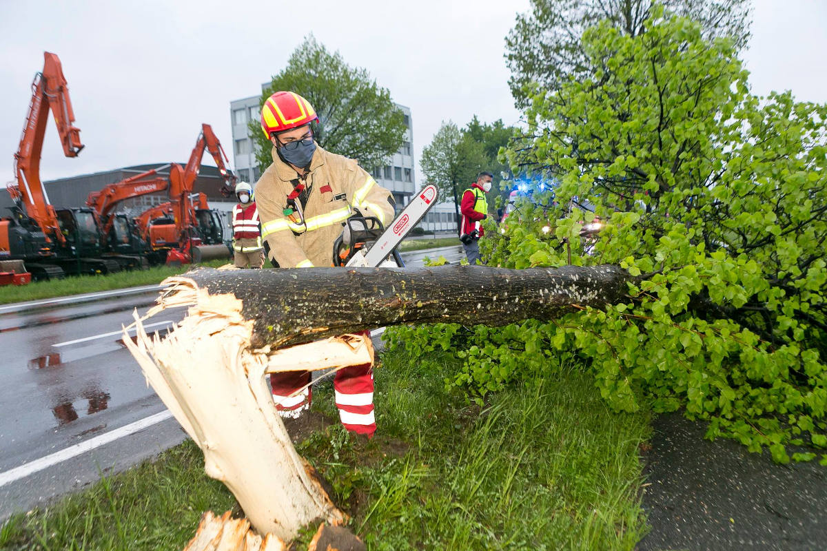 PKW gegen Baum geprallt bei Rankweil