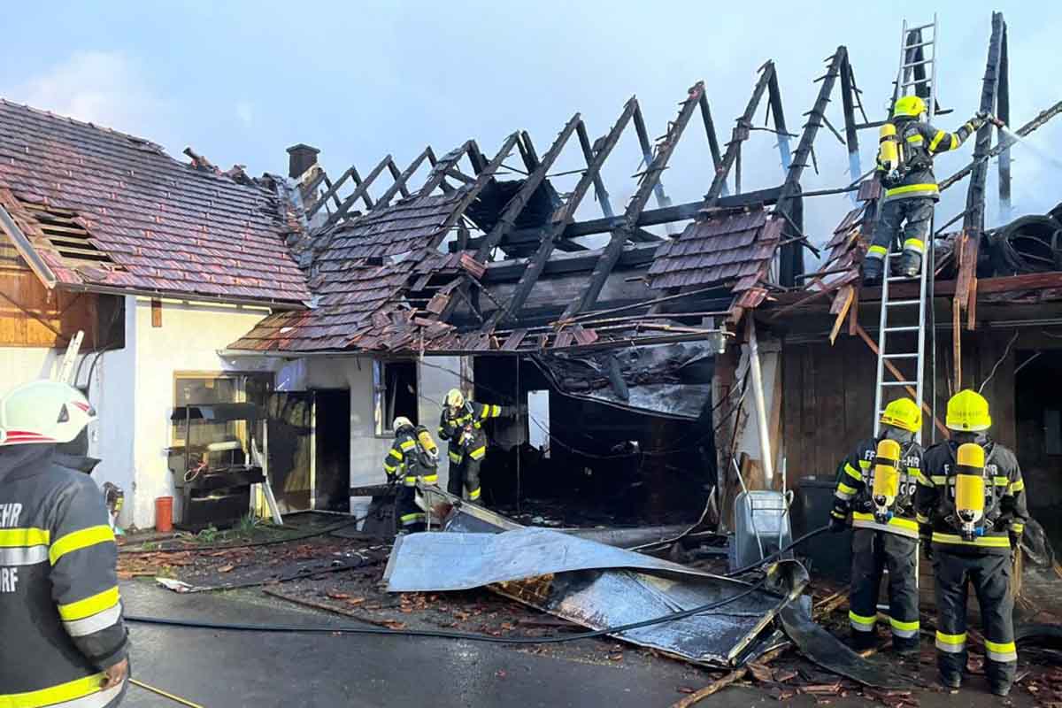 Menschen und Tiere kamen nicht zu Schaden