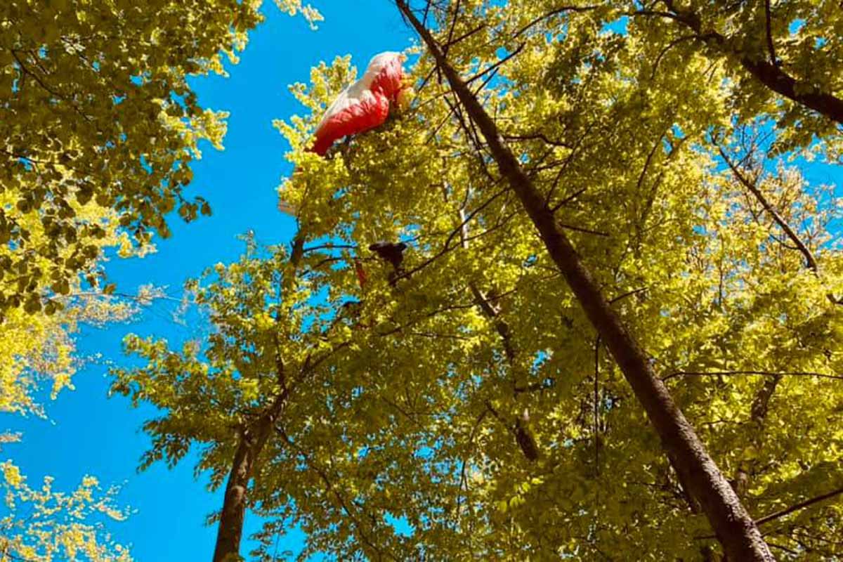 Flugunfall in Ebenthal