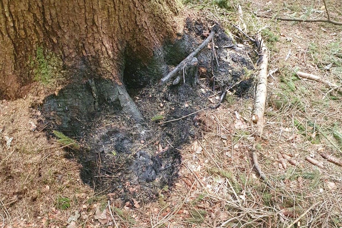 Auch Feuer war im Spiel.