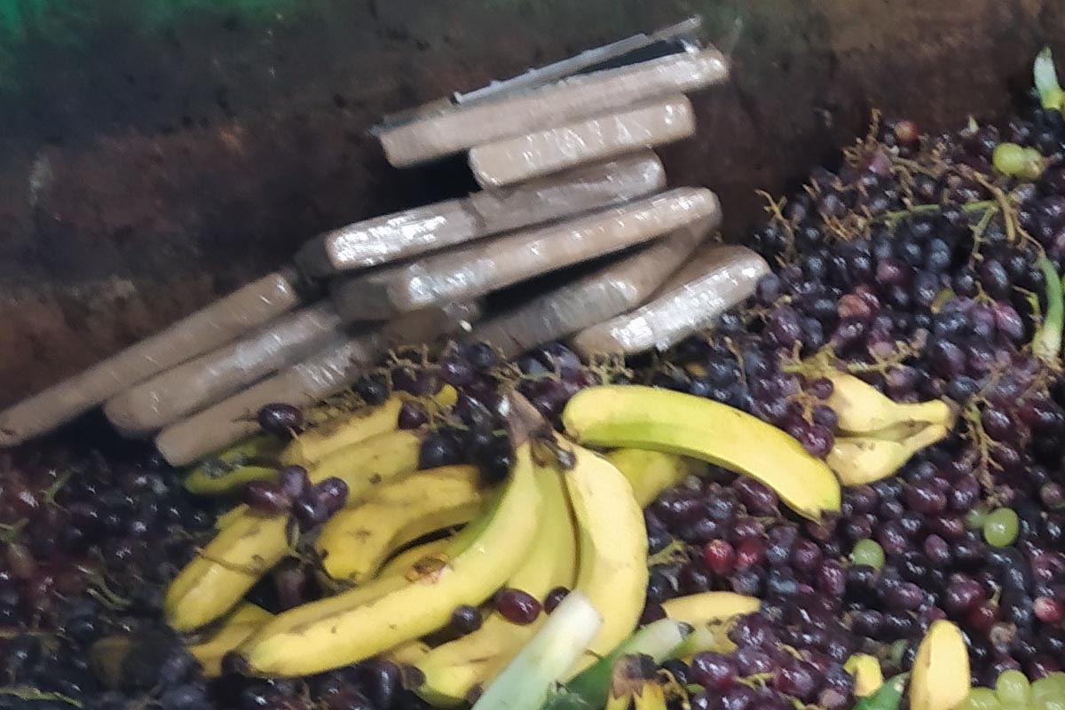 In Biomüll Kokain gefunden