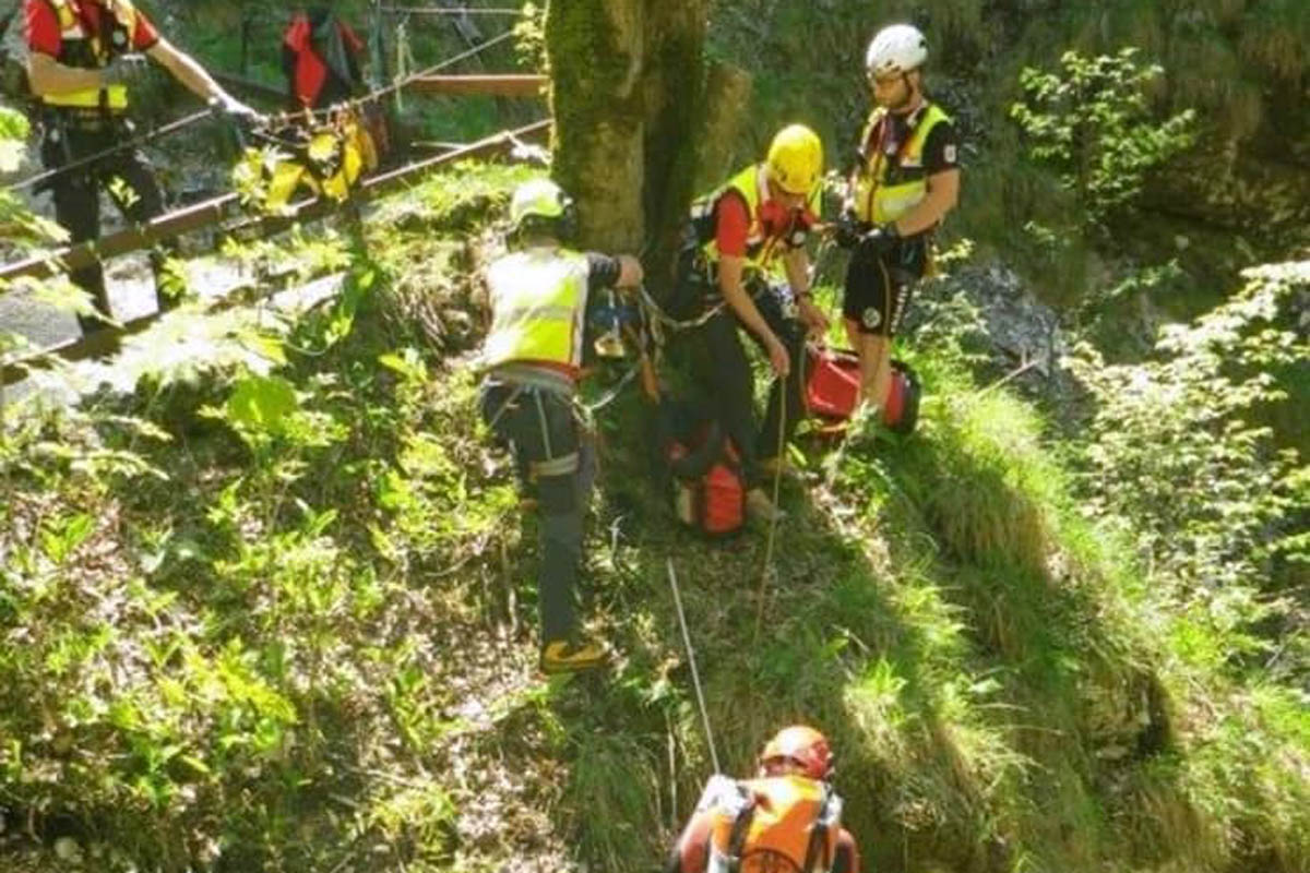 In Ferlach zog der Hund so heftig an der Leine, dass sich der Karabiner aufbog und der Hund entweichen konnte