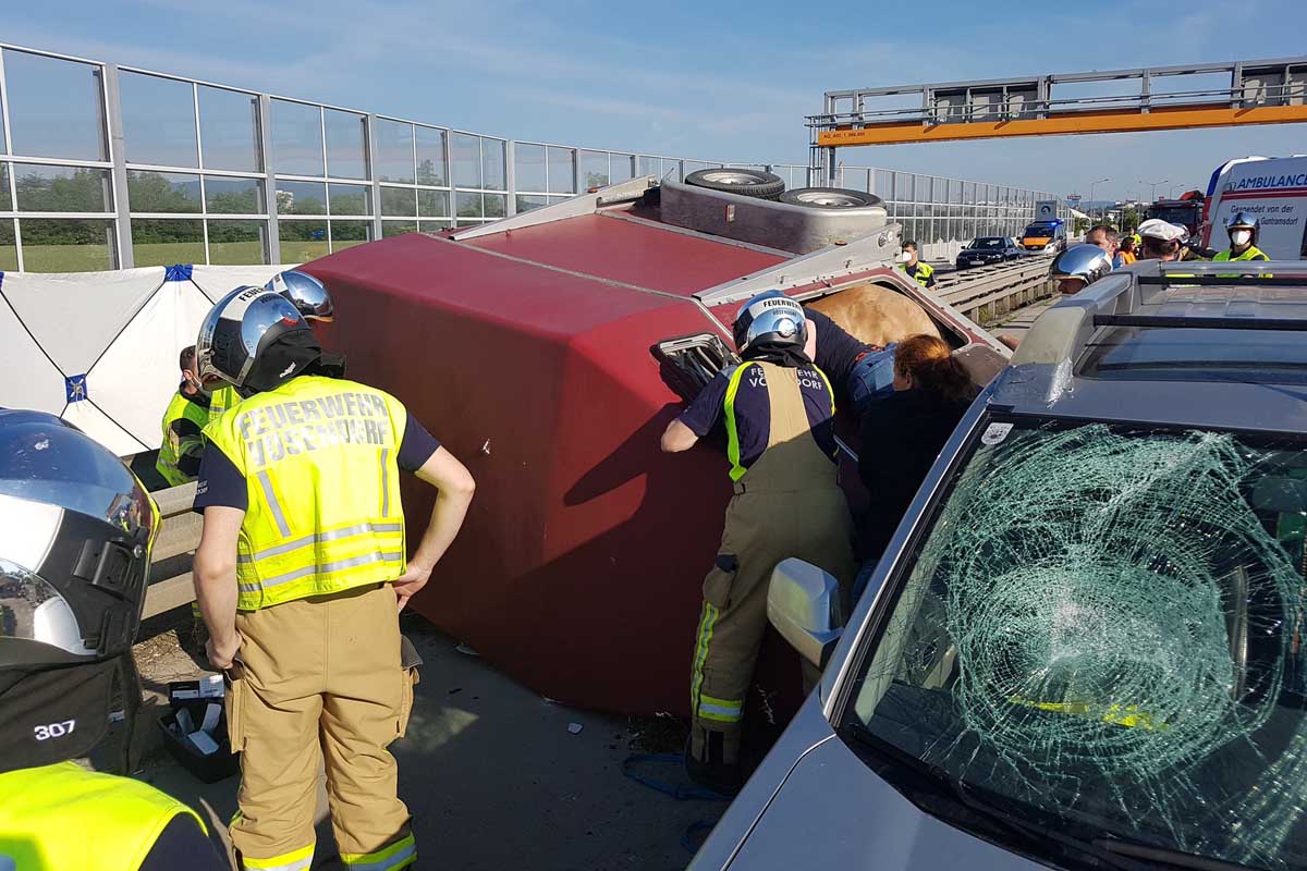 Ein Pferdeanhänger war ins Schleudern geraten und umgekippt