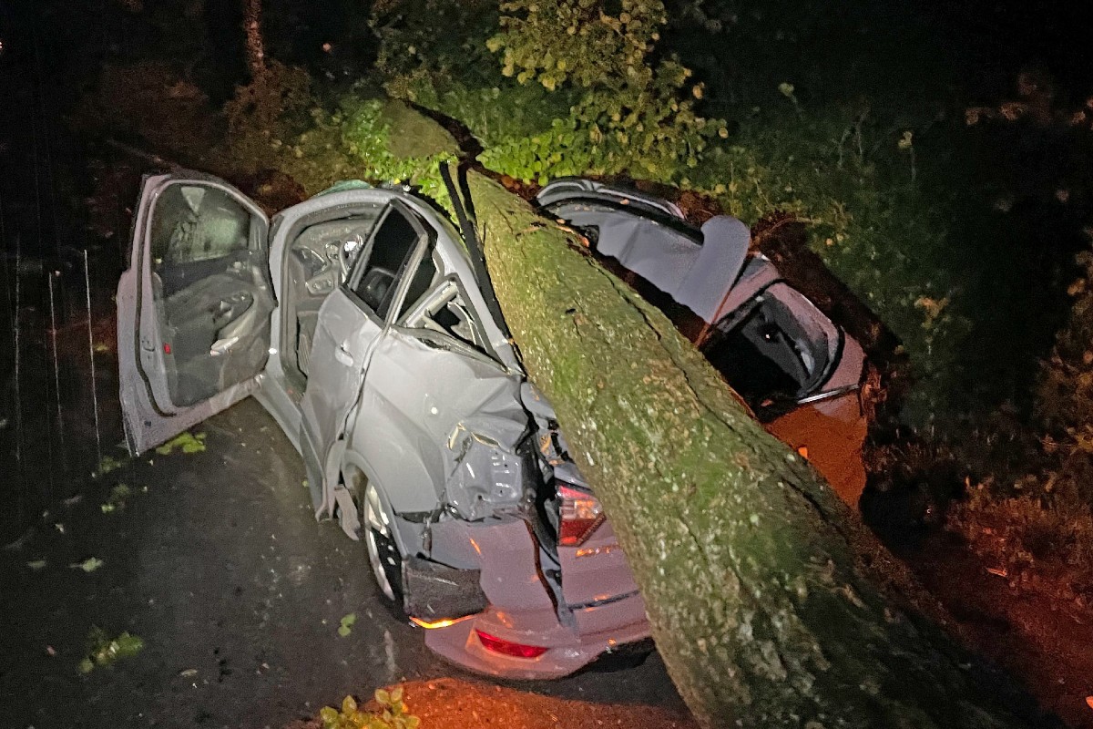 Horrorunfall in Frauenfeld TG - Baum stürzt beim Unwetter auf ein fahrendes Auto!