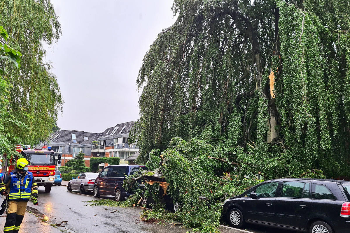 Baum begräbt PKW unter sich