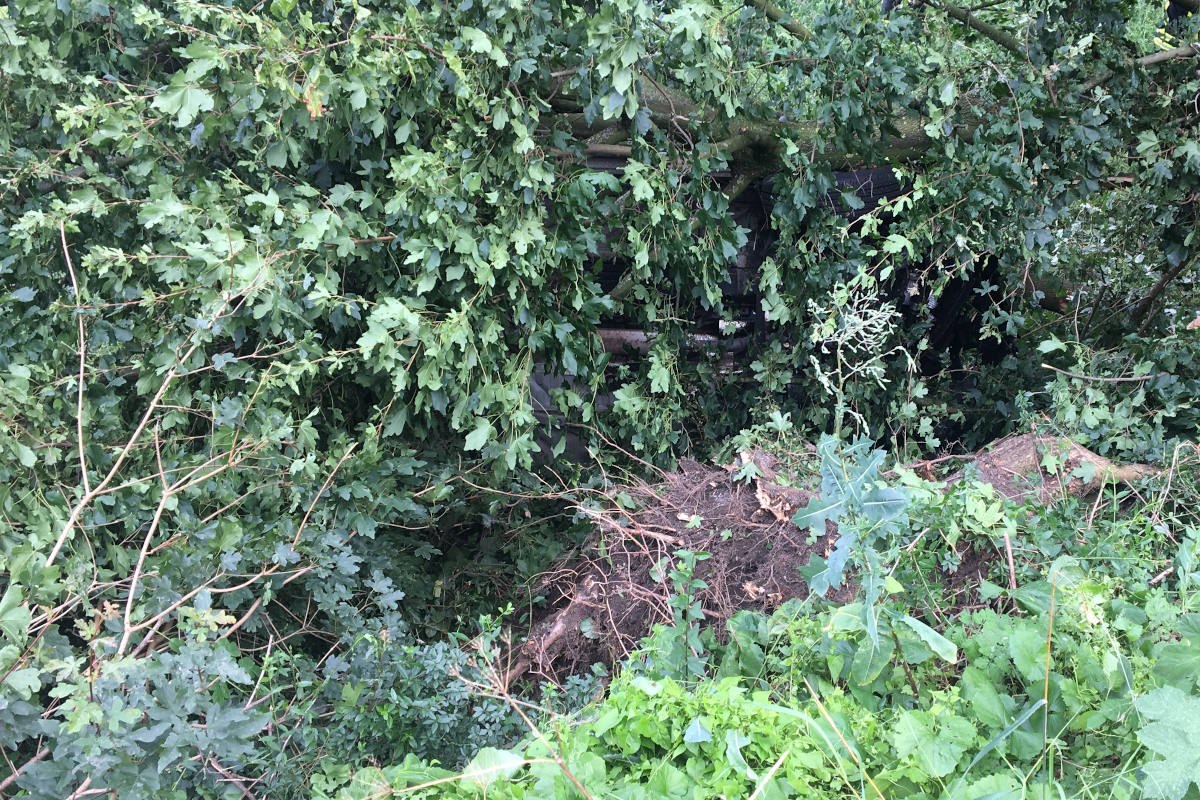 Dinslaken – Person im Auto unter Baum eingeklemmt