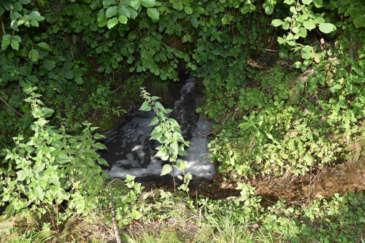 Verschmutzter Huberbach bei Muolen