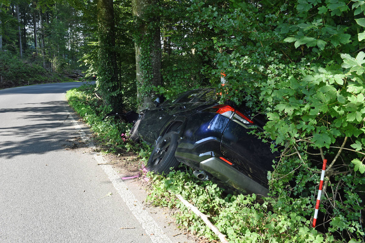 Autofahrerin nach Kollision mit Baum in Hitzkirch LU verletzt im Spital