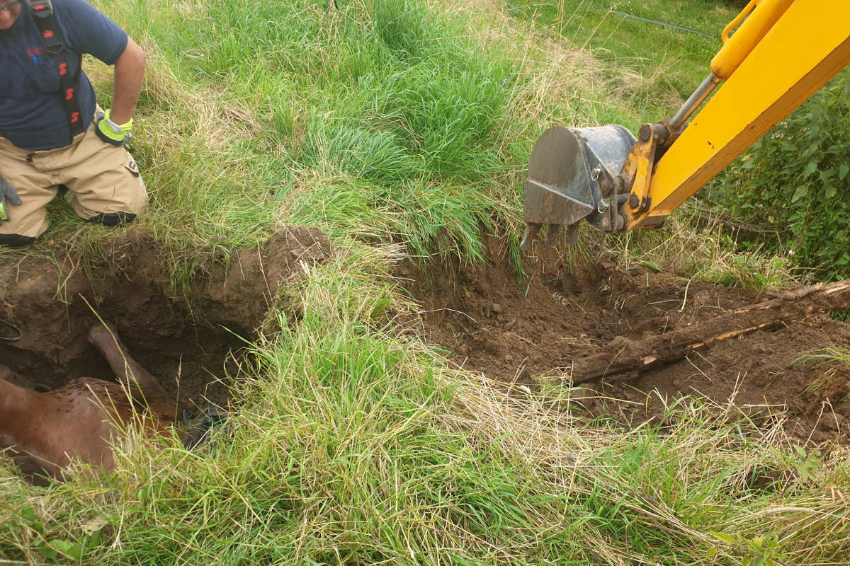 Hochwasserschäden sorgen für Reitunfall