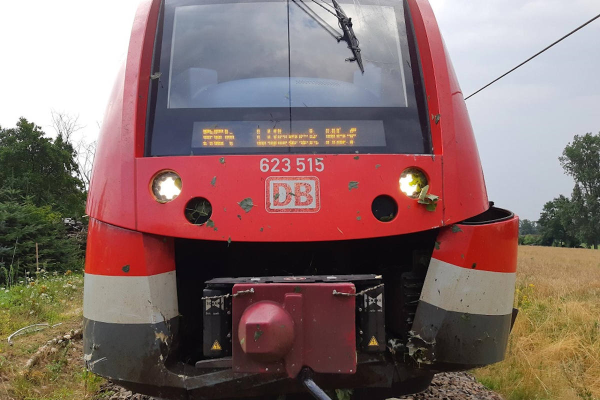 Regionalbahn kollidiert mit Baum bei Zepelin