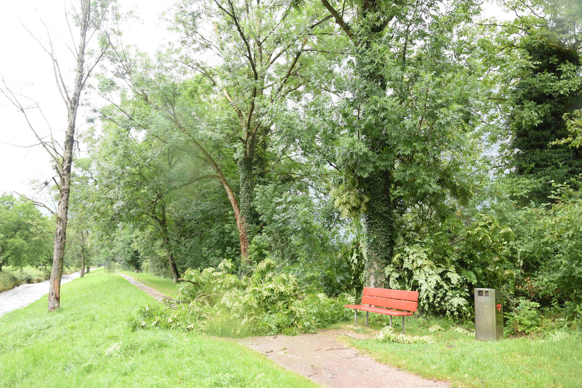 Fussgänger von herabfallenden Ästen getroffen