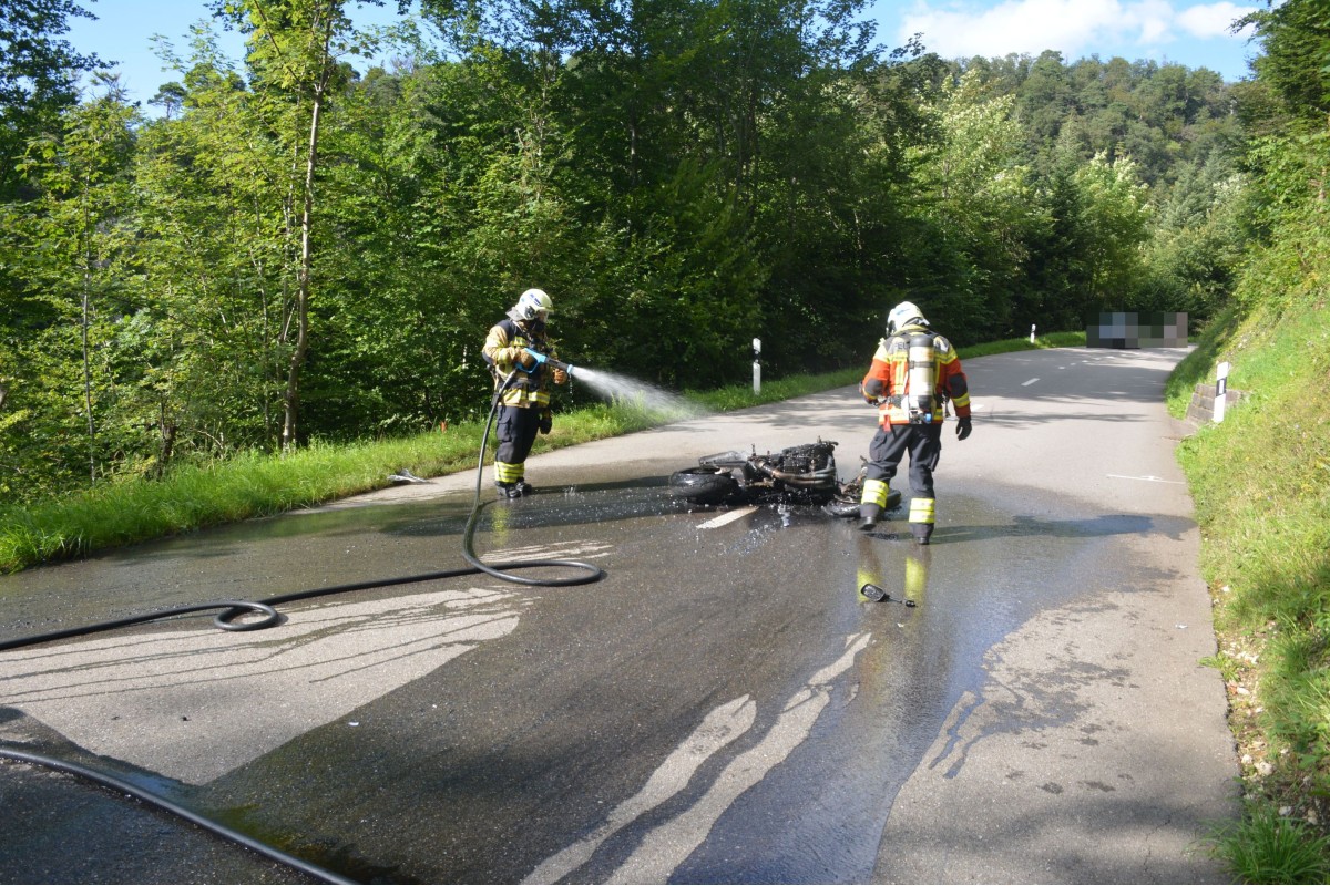 Der Fahrer verletzte sich mittelschwer.