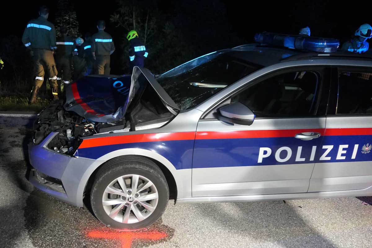 Wildunfall in Kleinhollenstein