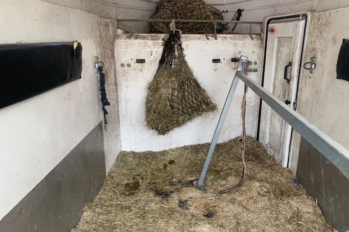 Stadt St. Gallen - Autolenkerin merkt das etwas nicht stimmt - Pferd klemmt sich im Anhänger ein und stürzt