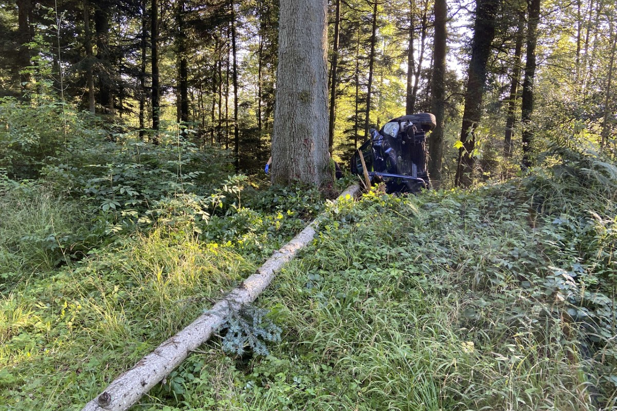 Der junge Autofahrer hatte Glück im Unglück.