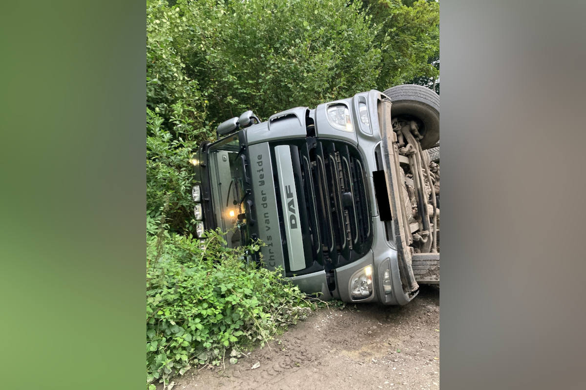 Aufwändiger Einsatz nach LKW-Unfall im Wald