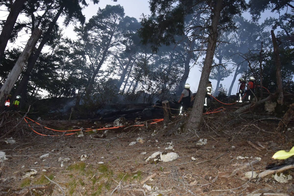 Waldbrand erfordert Feuerwehreinsatz bei Mümliswil SO