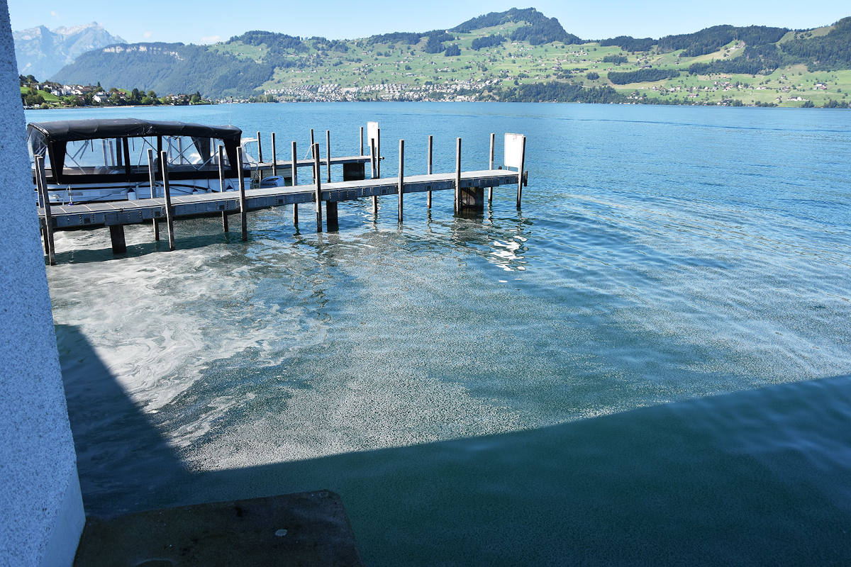 Ausgelaufener Diesel führt zu grossflächiger Verschmutzung auf dem Vierwaldstättersee