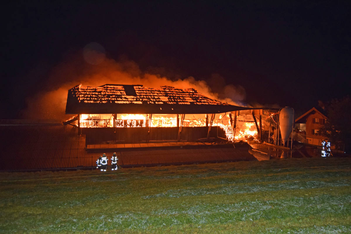 Scheune brennt komplett nieder – mehrere Tiere verendet – Hitzkirch LU