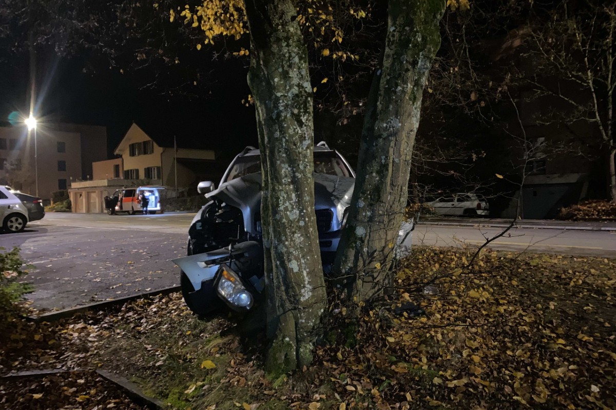 Spreitenbach AG - 24-Jährige flüchtet mit dem Auto vor Polizei und verunfallt